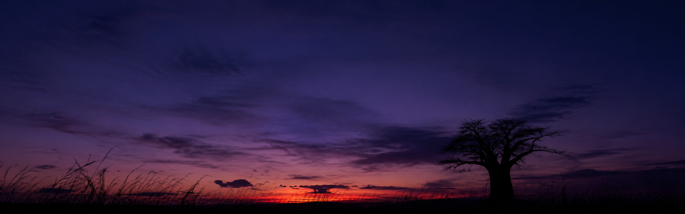 African savanna sunset